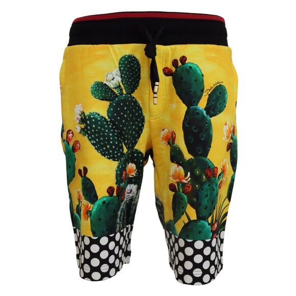 Dolce & Gabbana Multicolor Cactus Print Cotton Sweat Men's Shorts